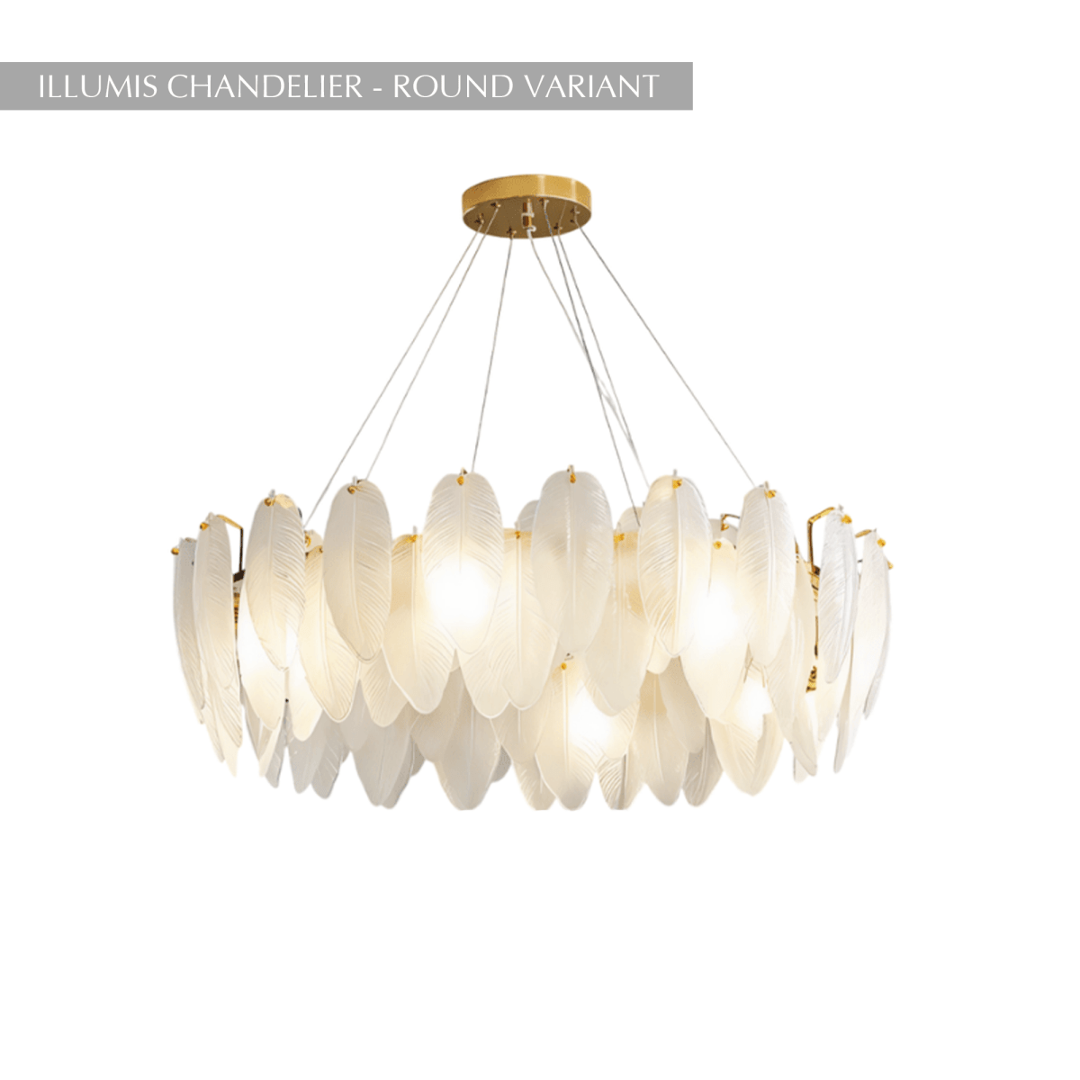 Illumis Chandelier - Nuvé
