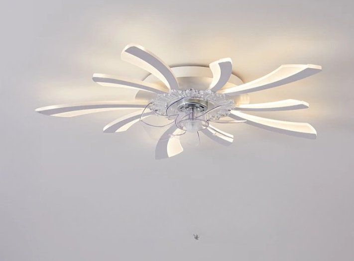 Lill Ceiling Light & Fan - Nuvé