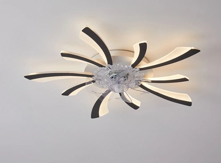 Lill Ceiling Light & Fan - Nuvé