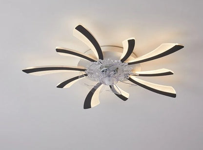 Lill Ceiling Light & Fan - Nuvé