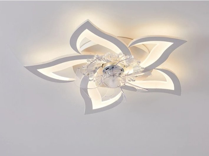 Lill Ceiling Light & Fan - Nuvé
