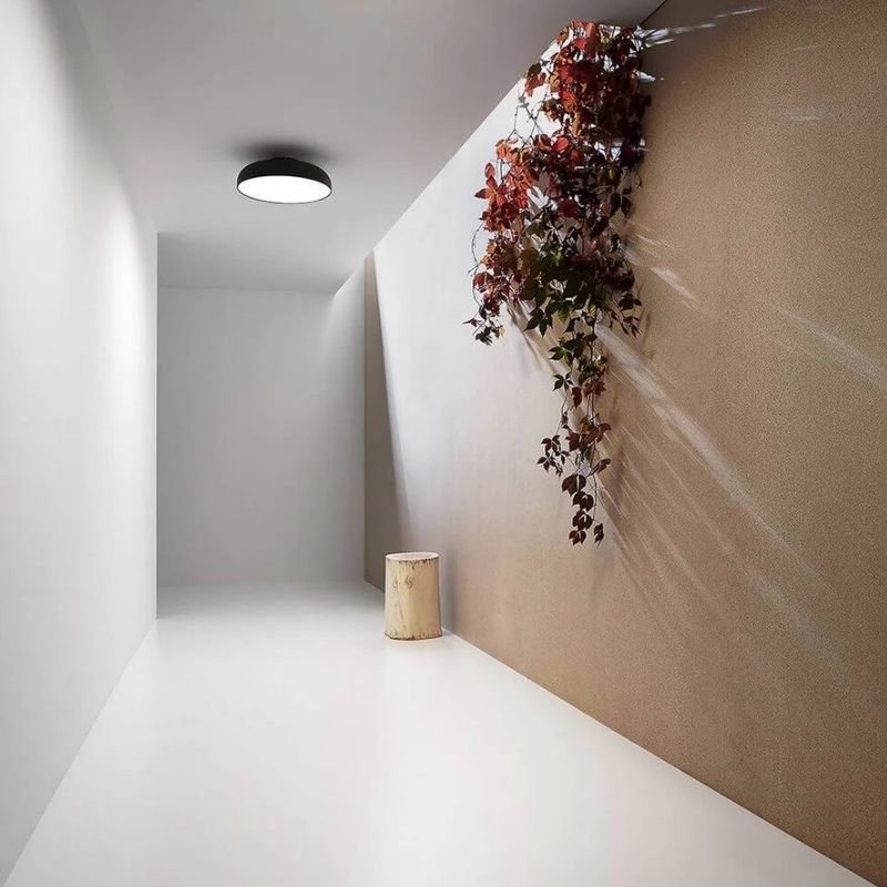 Noira Ceiling Light - Nuvé