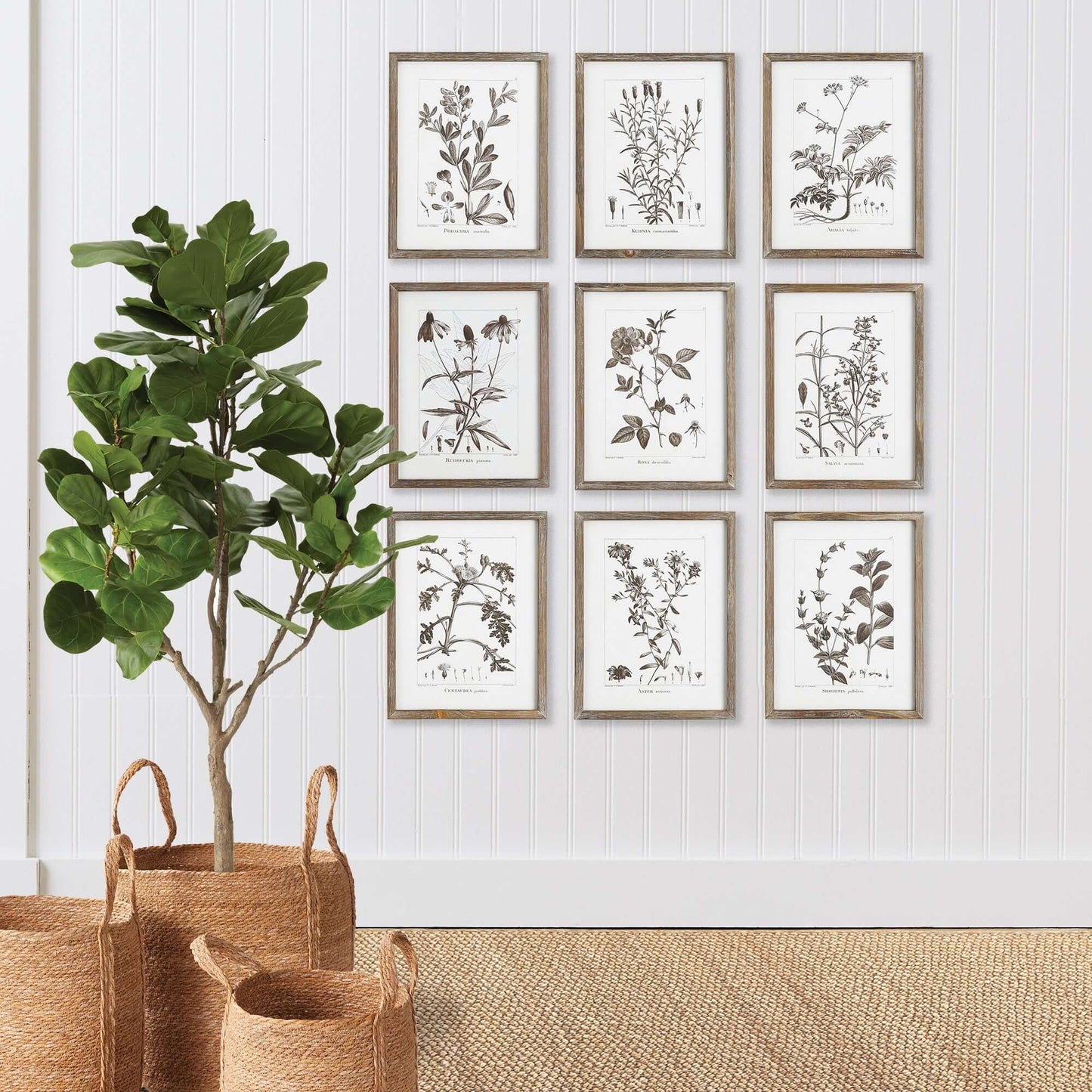 Rustic Botanical Sepia Wall Art Prints (Set of 9) - Nuvé