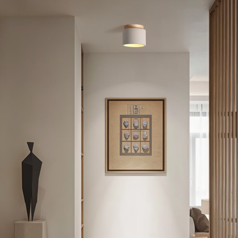 Sasil Downlight - Nuvé