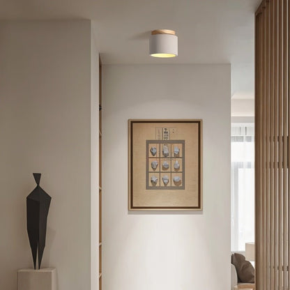 Sasil Downlight - Nuvé