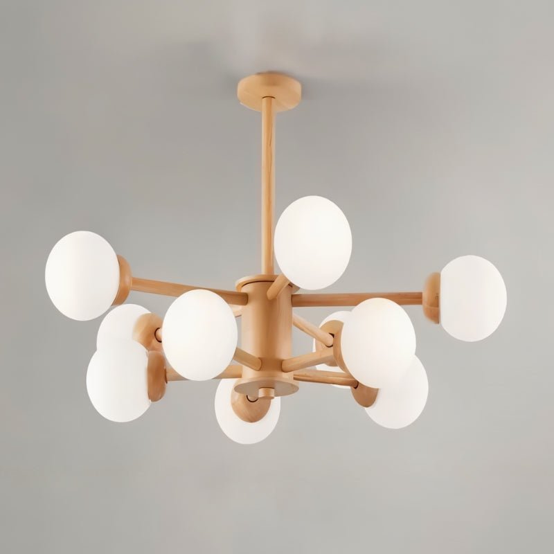 Scild Chandelier - Nuvé