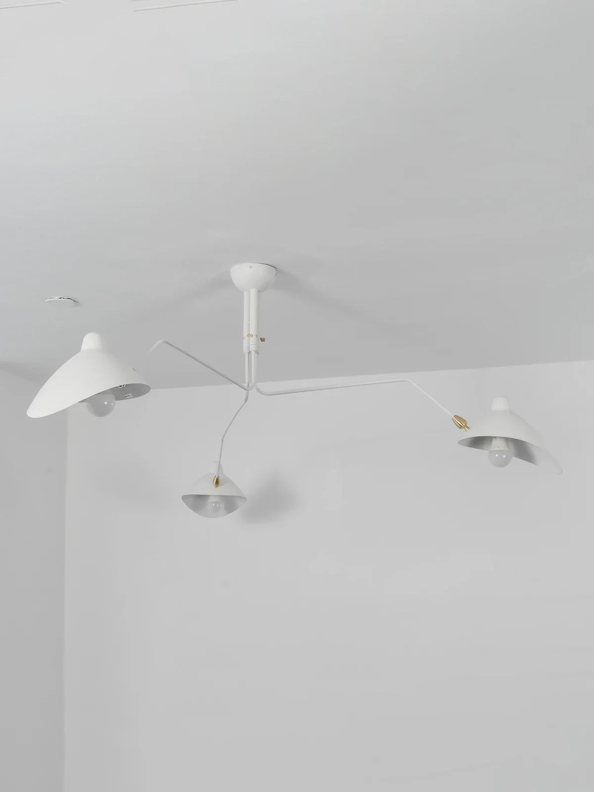 Serge Rotating Arm Ceiling light