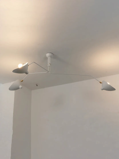 Serge Rotating Arm Ceiling light