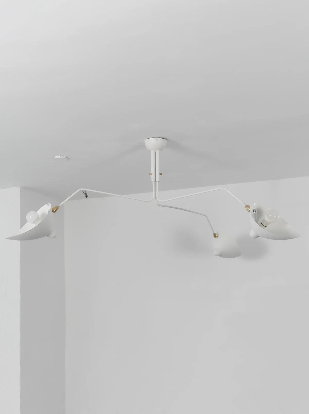 Serge Rotating Arm Ceiling light