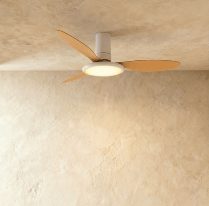 Zerua Ceiling Fan