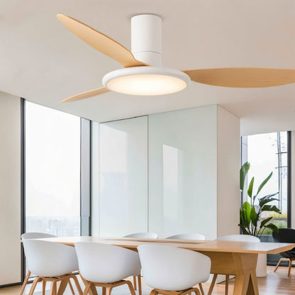 Zerua Ceiling Fan